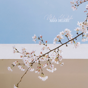 国产亚洲精品美女久久久久
