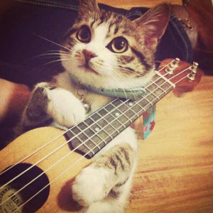 国产亚洲精品美女久久久久
